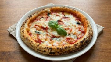 gluten free pizza dough recipe