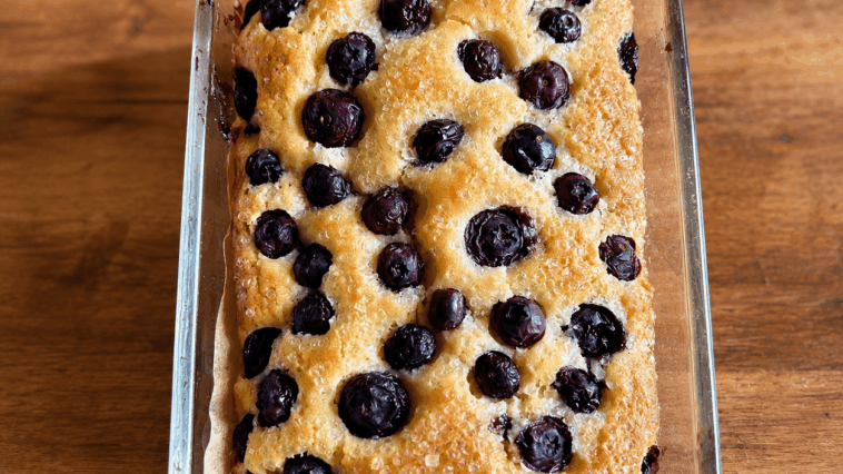 gluten free blueberry lemon bread