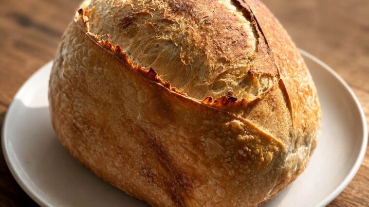 gluten free sourdough bread